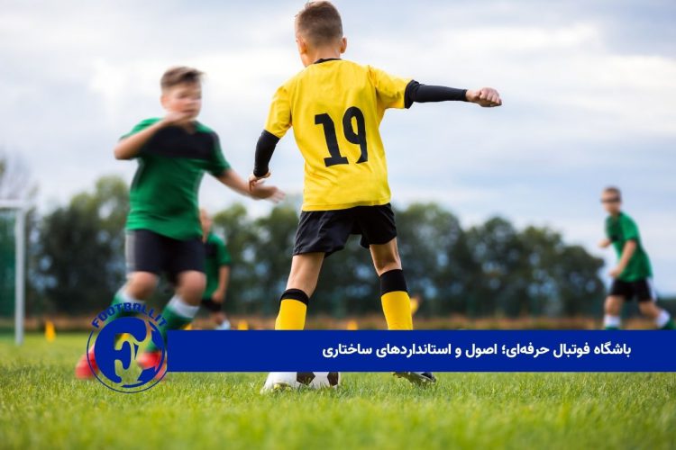 باشگاه فوتبال حرفه‌ای؛ اصول و استانداردهای ساختاری 